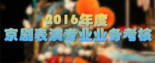 艹到流水国家京剧院2016年度京剧表演专业业务考...